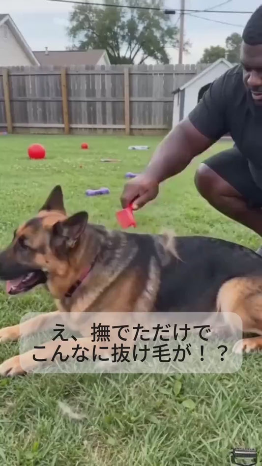 両面ペットグルーミングコーム