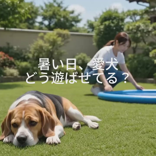 犬用スプラッシュシャワーマット